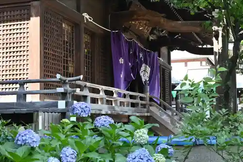 白山神社(東京都)