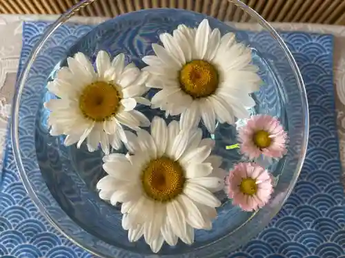 美瑛神社の手水舎