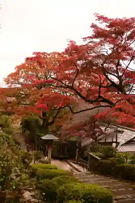 善峯寺(京都府)
