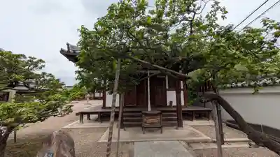 道明寺(大阪府)