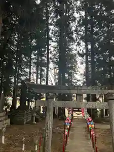 大宮温泉神社(栃木県)(2023年02月09日(木) 10時33分05秒投稿)