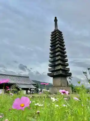 般若寺 ❁﻿コスモス寺❁(奈良県)