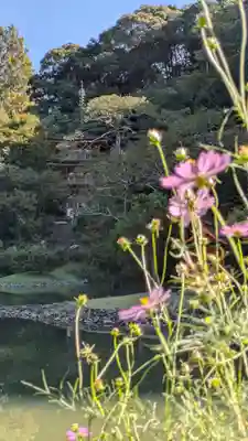 浄瑠璃寺(京都府)