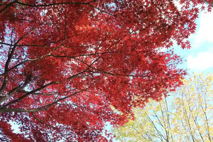豊景神社の自然