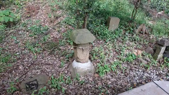 南大沢八幡神社の自然