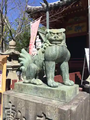 浅草神社の狛犬