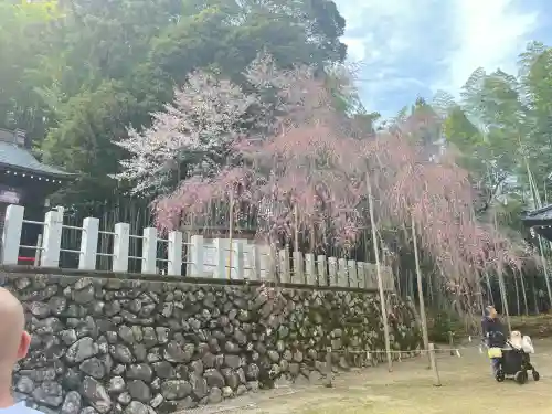 小川諏訪神社(福島県)