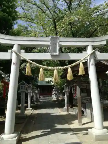 芳川神社の鳥居