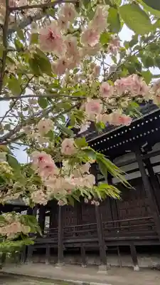 本法寺(京都府)