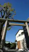 小日向神社の鳥居