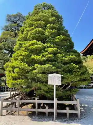 賀茂御祖神社（下鴨神社）(京都府)