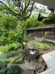 飛幡八幡宮(福岡県)