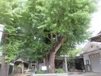 飛木稲荷神社(東京都)