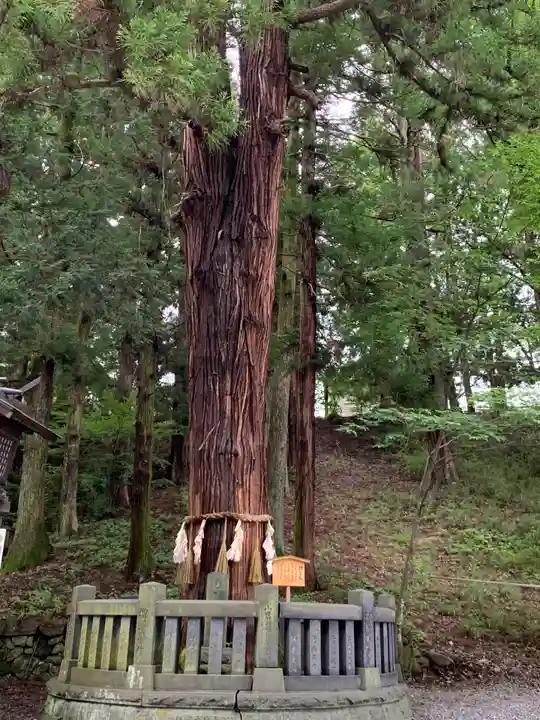 諏訪大社下社春宮のその他建物