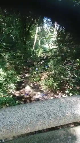 明治神宮の自然