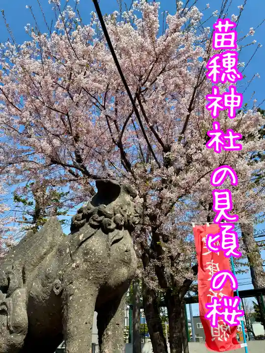 苗穂神社(北海道)