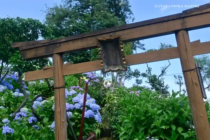 白山神社の鳥居