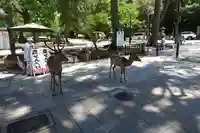 東大寺戒壇院千手堂(奈良県)