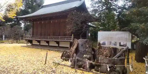 布多天神社(東京都)