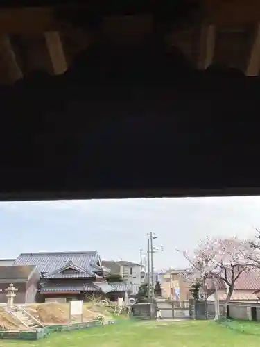 高家寺の本殿・本堂