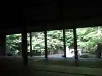 蓮華寺(洛北蓮華寺)の庭園