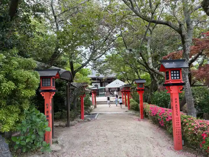 律院の{uncategorized: "未分類", other: "その他", undefined: "問題あり", building: "その他建物", grave: "お墓", sacred_gate: "鳥居", guardian: "狛犬", statue: "像", buddha: "仏像", history: "歴史", nature: "自然", garden: "庭園", animal: "動物", pagoda: "塔", temizu: "手水舎", mountain_gate: "山門・神門", sanctuary: "本殿・本堂", subordinate: "末社・摂社", art: "芸術", scenery: "景色", jizo: "地蔵", ema: "絵馬", goshuin: "御朱印", omikuji: "おみくじ", items: "授与品その他", amulet: "お守り", goshuincho: "御朱印帳", eats: "食事", festival: "お祭り", votive_dance: "神楽", shichigosan: "七五三参", wedding: "結婚式", experience: "体験その他", initially: "初詣", around: "周辺", anti_infection: "感染症対策"}