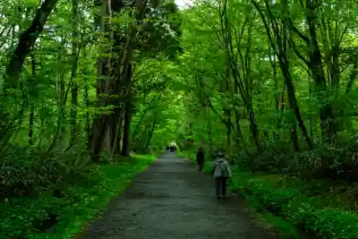 戸隠神社九頭龍社(長野県)