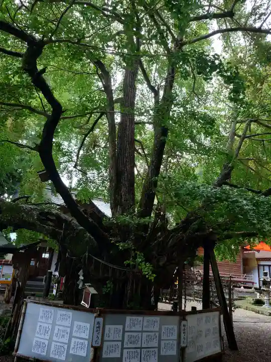 伊那下神社(静岡県)