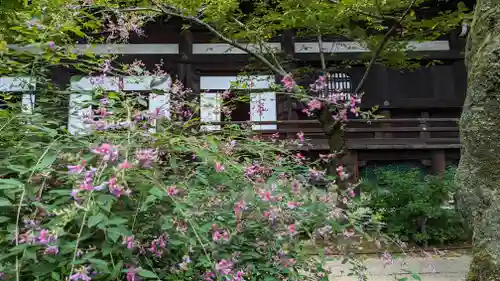 真正極楽寺（真如堂）(京都府)