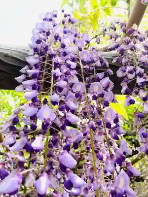 行興寺(静岡県)