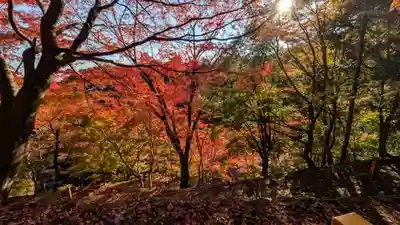 善峯寺(京都府)