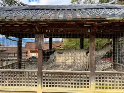 厳島神社(広島県)