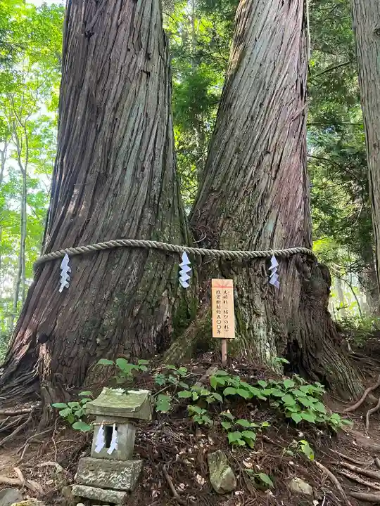 戸隠神社火之御子社(長野県)