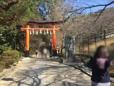 宇治上神社の鳥居