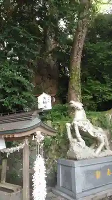 八幡朝見神社の狛犬