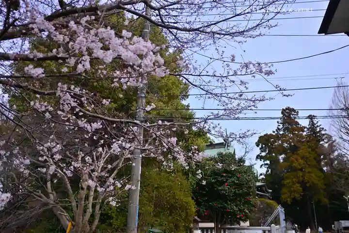 杉山社(神奈川県)