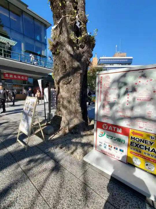 神田神社(神田明神)(東京都)
