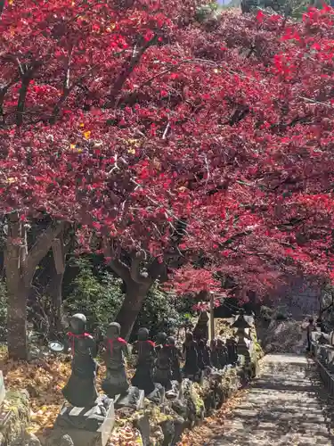 大山寺(神奈川県)