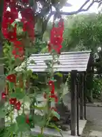 千手院の手水舎