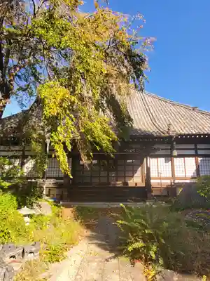長明寺(長野県)