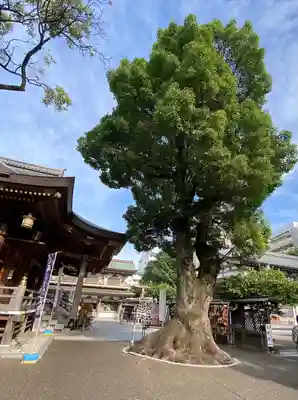 湯島天満宮のその他建物