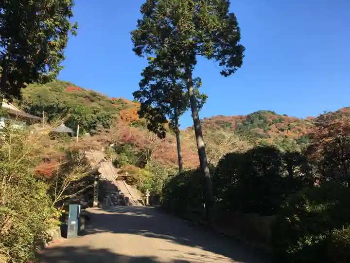 三室戸寺の景色