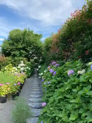 蓮田東照宮の自然