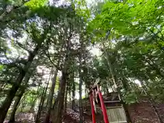 子檀倉宮(子檀嶺神社奥宮)(長野県)