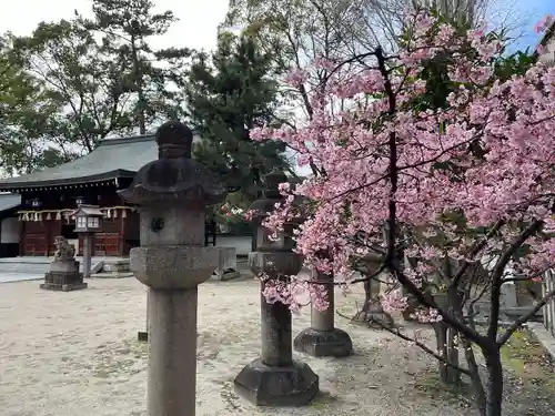 與杼神社(京都府)