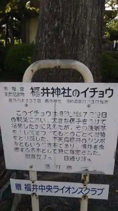 福井神社の歴史