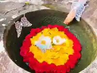 真言宗 善通寺派 薬王寺(香川県)