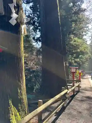 高尾山薬王院のその他建物