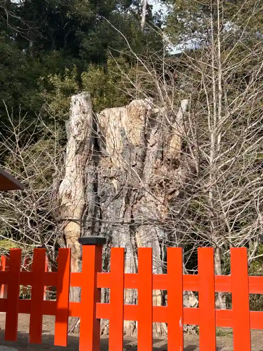 鶴岡八幡宮の{uncategorized: "未分類", other: "その他", undefined: "問題あり", building: "その他建物", grave: "お墓", sacred_gate: "鳥居", guardian: "狛犬", statue: "像", buddha: "仏像", history: "歴史", nature: "自然", garden: "庭園", animal: "動物", pagoda: "塔", temizu: "手水舎", mountain_gate: "山門・神門", sanctuary: "本殿・本堂", subordinate: "末社・摂社", art: "芸術", scenery: "景色", jizo: "地蔵", ema: "絵馬", goshuin: "御朱印", omikuji: "おみくじ", items: "授与品その他", amulet: "お守り", goshuincho: "御朱印帳", eats: "食事", festival: "お祭り", votive_dance: "神楽", shichigosan: "七五三参", wedding: "結婚式", experience: "体験その他", initially: "初詣", around: "周辺", anti_infection: "感染症対策"}
