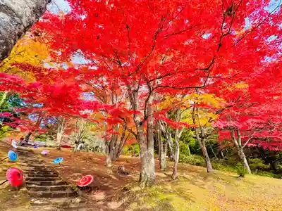 土津神社｜こどもと出世の神さま(福島県)